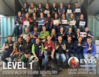 Level 1 Essentials of Equine Dentistry - March 4-9, 2024 Level 1 Essentials of Equine Dentistry - March 4-9, 2024